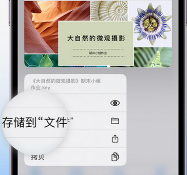 贵德apple维修中心分享iPhone文件应用中存储和找到下载文件