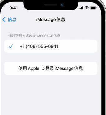 贵德apple维修iPhone上无法正常发送iMessage信息 