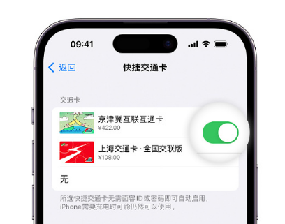 贵德apple维修点分享iPhone上更换Apple Pay快捷交通卡手绘卡面 