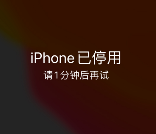 贵德苹果手机维修分享:iPhone 显示“不可用”或“已停用”怎么办？还能保留数据吗？ 