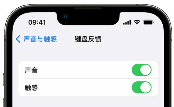 贵德苹果手机维修分享iPhone 14触感键盘使用方法 