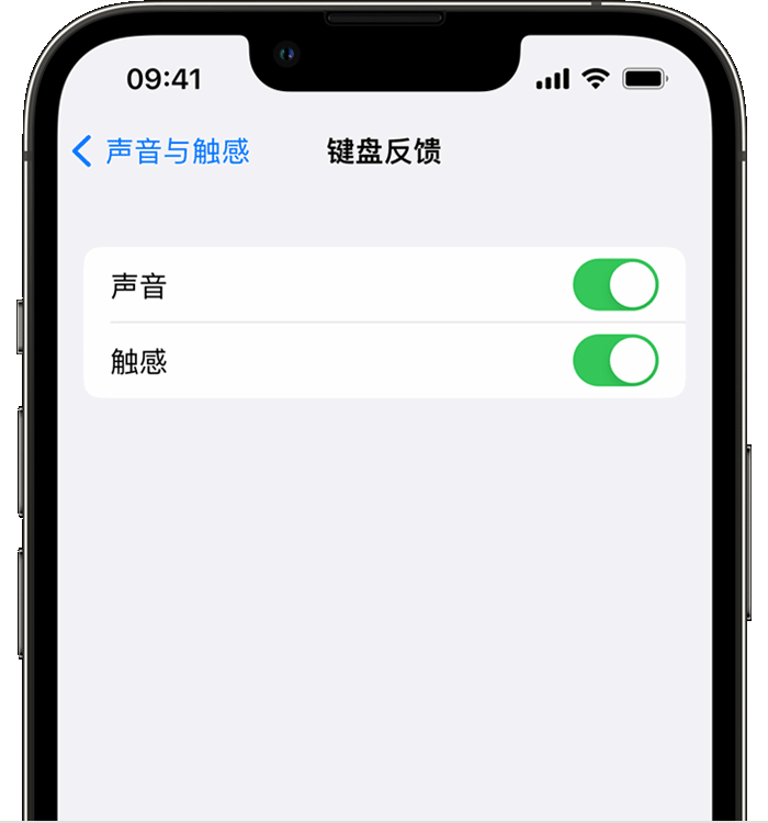 贵德苹果14维修店分享如何在 iPhone 14 机型中使用触感键盘 