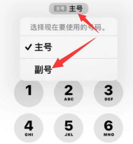 贵德苹果14维修店分享iPhone 14 Pro Max使用副卡打电话的方法 