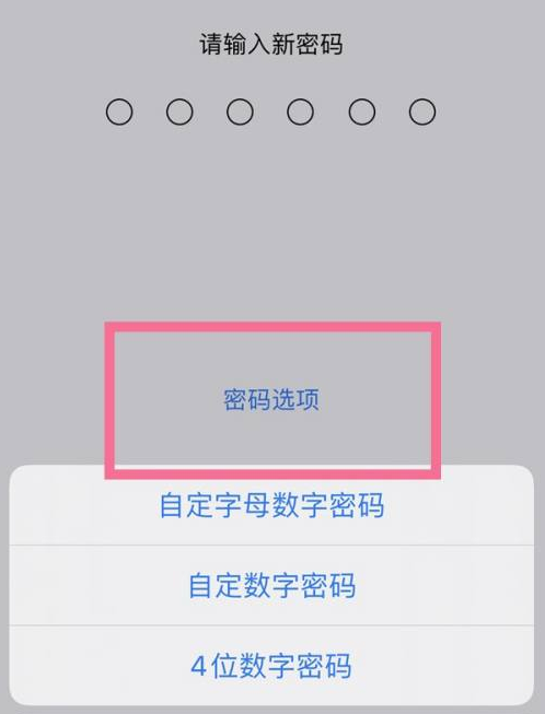 贵德苹果14维修分享iPhone 14plus设置密码的方法 