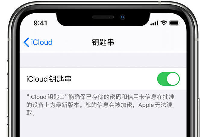 贵德苹果手机维修分享在 iPhone 上开启 iCloud 钥匙串之后会储存哪些信息 