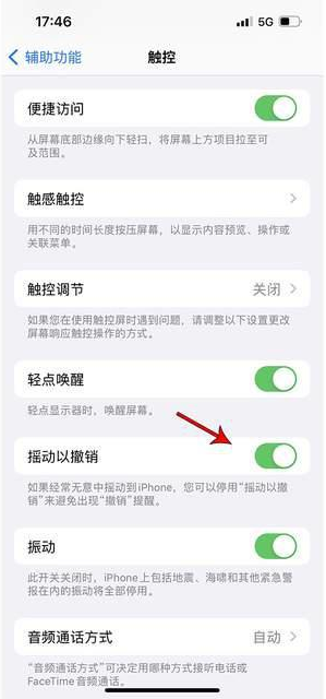 贵德苹果手机维修分享iPhone手机如何设置摇一摇删除文字 