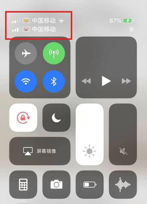 贵德苹果手机维修分享为 iPhone 12 双卡设置标签 